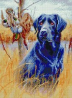 Pictura cu diamante după numere Strateg Лабрадор на поле (HX276)