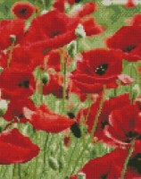 Pictura cu diamante după numere Strateg Маковое поле (HX462)