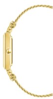 Наручные часы Anne Klein AK/3882CHGB фото №2 — интернет-магазин Desire.md