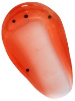 Ulei pentru buze Revolution Tasty Tropical Lip Oil Papaya imaginea #2 — magazin online Desire.md