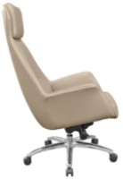 Scaun de birou Deco Aeron Camel imaginea #3 — magazin online Desire.md