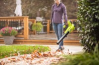 Воздуходувка Ryobi RY18BLA-140 фото №6 — интернет-магазин Desire.md