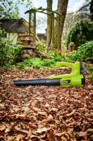 Воздуходувка Ryobi RY18BLA-140 фото №2 — интернет-магазин Desire.md