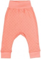 Детские спортивные штаны Veres Sweet Family 80cm (104-2.73.80)