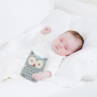 Мягкая игрушка BabyJem Green Owl (366) фото №2 — интернет-магазин Desire.md