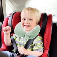 Подушка туристическая BabyJem Mint (108) фото №2 — интернет-магазин Desire.md