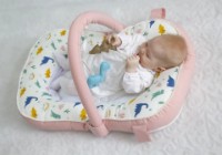 Гнездо для малыша BabyJem Sit And Play Pink (524)