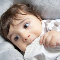 Bavețică BabyJem Brown (686) imaginea #3 — magazin online Desire.md