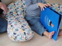 Подушка для кормления Beaba Red Castle Big Flopsy Jungle (0508116) фото №5 — интернет-магазин Desire.md