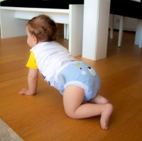 Chiloți de antrenament BabyJem Blue 14-18kg (244) imaginea #4 — magazin online Desire.md