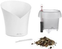 Ghiveci Lechuza Orchidea Scarlet Red imaginea #2 — magazin online Desire.md