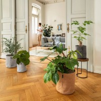 Ghiveci Lechuza Trendcover Color 32 Felt Light Grey imaginea #4 — magazin online Desire.md