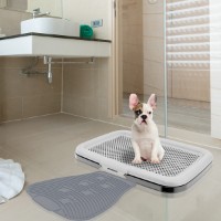 Tava pentru pisici Irak Plastik PT310 imaginea #3 — magazin online Desire.md