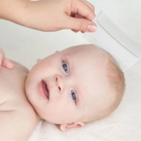 Расческа для молочных корочек BabyJem Delicate (640) фото №4 — интернет-магазин Desire.md