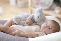 Мягкая игрушка BabyJem The Beast Bunny Grey (730) фото №2 — интернет-магазин Desire.md