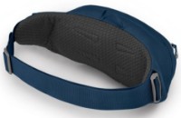 Сумка Osprey Daylite Waist Wave Blue фото №2 — интернет-магазин Desire.md