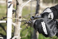 Инструмент для подвязки Stocker Stockfix 19 2157 фото №2 — интернет-магазин Desire.md