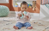 Jucărie cu sunătoare Fisher-Price HJW11 imaginea #5 — magazin online Desire.md