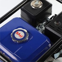 Motopompa Sali W30050HP imaginea #3 — magazin online Desire.md