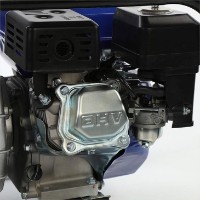 Motopompa Sali W30080WP imaginea #2 — magazin online Desire.md