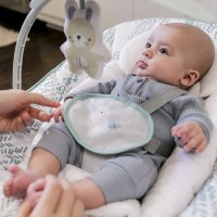 Leagăn pentru bebeluși Bright Starts Cozy Grow With Me (12637) imaginea #5 — magazin online Desire.md