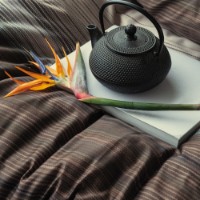 Постельное бельё Issimo Gerard Double фото №3 — интернет-магазин Desire.md