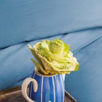 Постельное бельё Issimo Simply Single Sky Blue фото №2 — интернет-магазин Desire.md