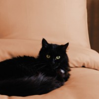 Постельное бельё Issimo Simply Double Blush фото №3 — интернет-магазин Desire.md