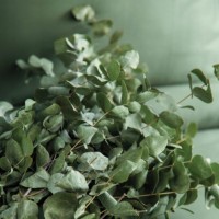 Постельное бельё Issimo Simply Double Forest Green фото №2 — интернет-магазин Desire.md