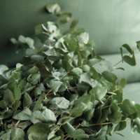 Постельное бельё Issimo Simply Family Forest Green фото №2 — интернет-магазин Desire.md