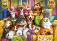 Puzzle Castorland Midi 70 Playful Pets (B-070176) imaginea #1 — magazin online Desire.md