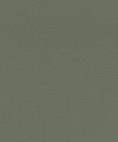 Обои Rasch 752687 African Queen III