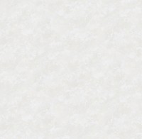 Обои Victoria Stenova 285621 Fresco