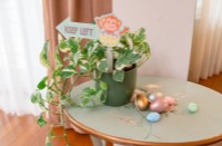 Material pentru artizanat Daco SC909 imaginea #5 — magazin online Desire.md