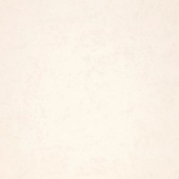 Обои Fipar R11581 Modeli Magici