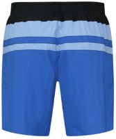 Мужские плавки Puma Swim Men Heritage Mid Shorts 1P Benjamin Blue Combo XXL фото №2 — интернет-магазин Desire.md