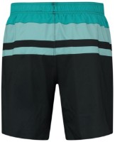 Мужские плавки Puma Swim Men Heritage Mid Shorts 1P Black Teal Combo S фото №2 — интернет-магазин Desire.md