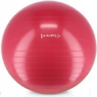 Mingea fitness HMS YB01 65cm Plum imaginea #1 — magazin online Desire.md