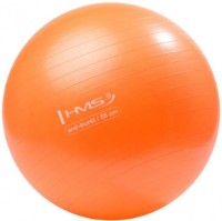 Фитбол HMS YB02 55cm Orange