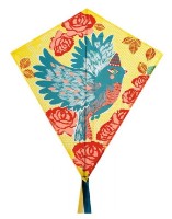 Zmeu zburător Djeco Bird DJ02153 imaginea #1 — magazin online Desire.md