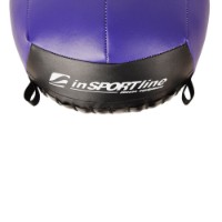 Медицинбол Insportline Wallball 10kg (7272)