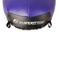 Медицинбол Insportline Wallball 10kg (7272) фото №2 — интернет-магазин Desire.md