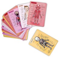 Развивающий набор Janod Bodymagnet J05491 фото №3 — интернет-магазин Desire.md