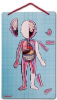 Развивающий набор Janod Bodymagnet J05491 фото №4 — интернет-магазин Desire.md