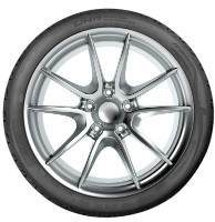 Шина Riken UHP 245/45 R17 99W XL фото №2 — интернет-магазин Desire.md