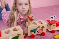 Сортер Bino 84166 фото №3 — интернет-магазин Desire.md