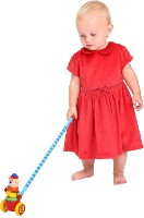 Игрушка каталка Bino Bear (81670) фото №3 — интернет-магазин Desire.md