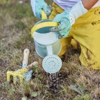 Садовые перчатки Janod Happy Garden J03193 фото №2 — интернет-магазин Desire.md