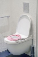 Oala-scaunel BabyJem Portable Seat Pink (591) imaginea #2 — magazin online Desire.md