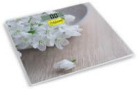 Напольные весы Maestro MR-1819